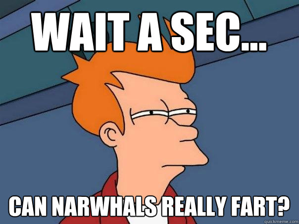 Wait a sec... Can narwhals really fart?  Futurama Fry