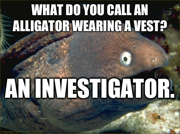 What do you call an alligator wearing a vest? An investigator.  - What do you call an alligator wearing a vest? An investigator.   Bad Joke Eel