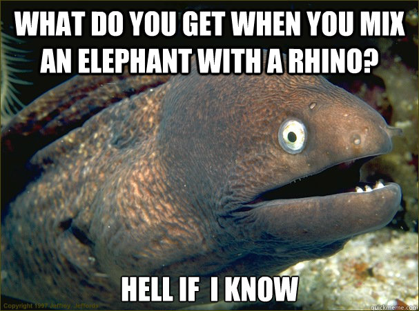 what do you get when you mix an elephant with a rhino? Hell if  i know  Bad Joke Eel