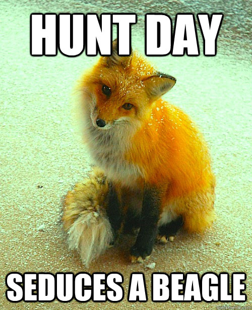 HUNT DAY SEDUCES A BEAGLE  