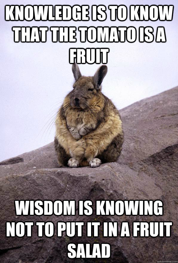 Knowledge is to know that the tomato is a fruit Wisdom is knowing not to put it in a fruit salad - Knowledge is to know that the tomato is a fruit Wisdom is knowing not to put it in a fruit salad  Wise Wondering Viscacha