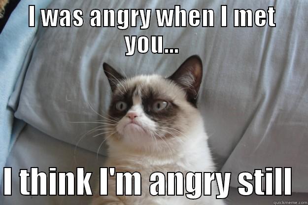 I WAS ANGRY WHEN I MET YOU...  I THINK I'M ANGRY STILL  Grumpy Cat