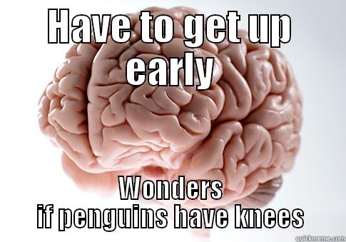 HAVE TO GET UP EARLY WONDERS IF PENGUINS HAVE KNEES Scumbag Brain