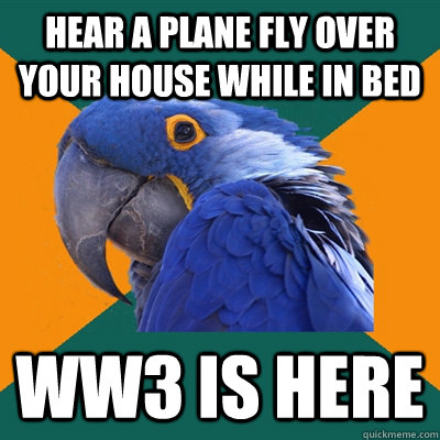 Hear a plane fly over your house while in bed WW3 is here  Paranoid Parrot