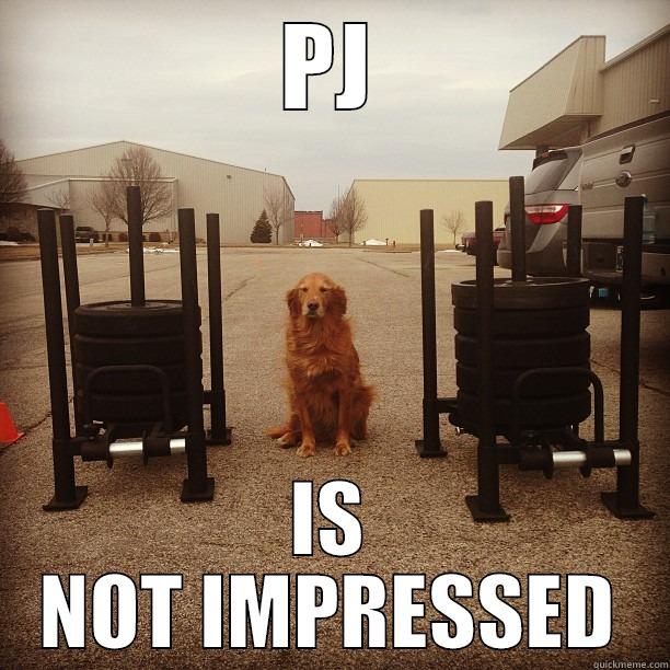PJ is not impressed - PJ IS NOT IMPRESSED Misc