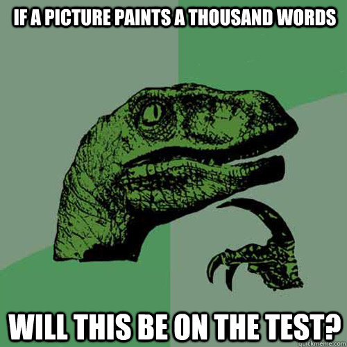 If a picture paints a thousand words Will this be on the test?  Philosoraptor