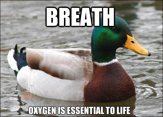 Breath Oxygen is essential to life  Actual Advice Mallard