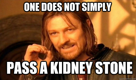 one does not simply pass a kidney stone - one does not simply pass a kidney stone  Boromir