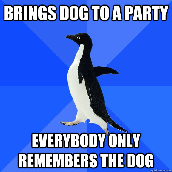 Brings dog to a party everybody only remembers the dog  Socially Awkward Penguin