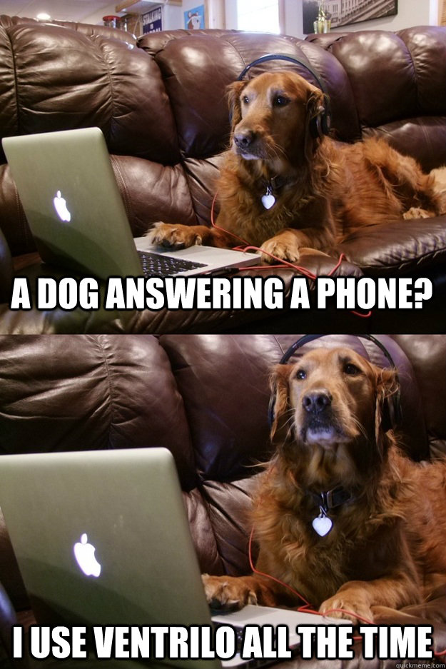 A dog answering a phone? I use ventrilo all the time - A dog answering a phone? I use ventrilo all the time  Macandbeats