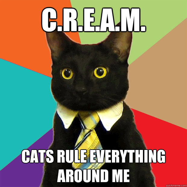 C.R.E.A.M. Cats rule everything around me  Business Cat