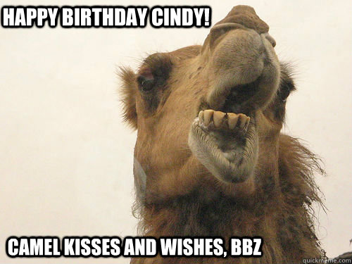 Happy Birthday Cindy!  Camel kisses and wishes, bbz   