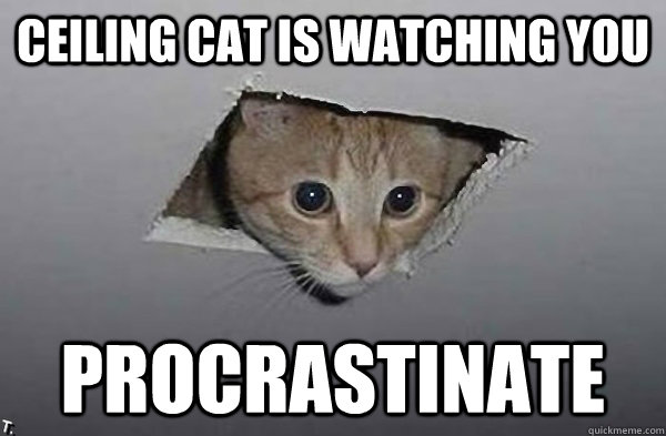 Ceiling Cat is watching you Procrastinate  