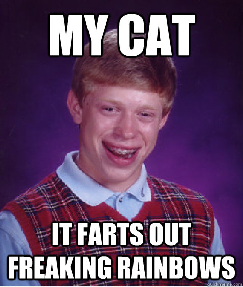 my cat it farts out freaking rainbows  Bad Luck Brian