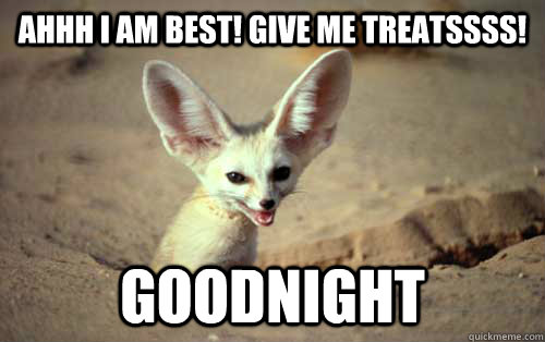 AHHH I AM BEST! GIVE ME TREATSSSS! goodnight  Technological Superiority Fennec