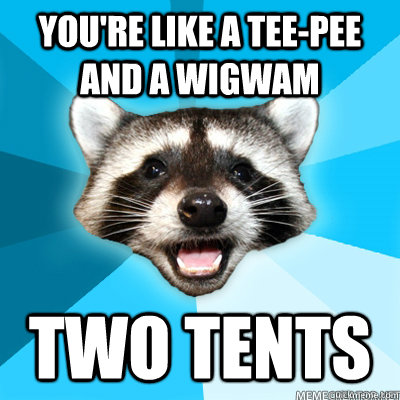 you're like a tee-pee and a wigwam two tents   Lame Pun Raccoon