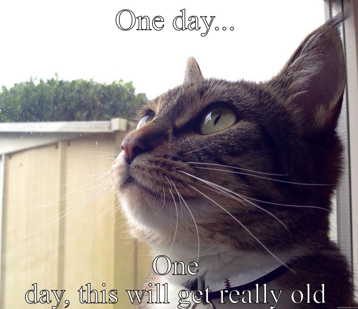 ONE DAY... ONE DAY, THIS WILL GET REALLY OLD Misc