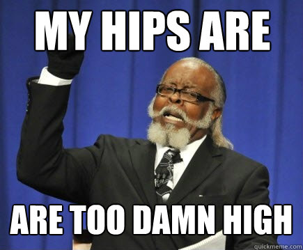 My hips are are too damn high  Too Damn High