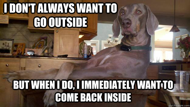 I don't always want to go outside But when I do, I immediately want to come back inside - I don't always want to go outside But when I do, I immediately want to come back inside  The Most Interesting Dog in the World