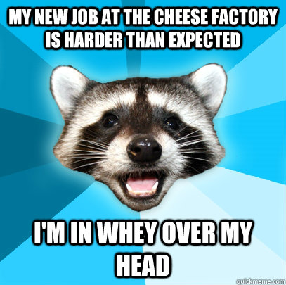 My new job at the cheese factory is harder than expected I'm in whey over my head  Lame Pun Coon