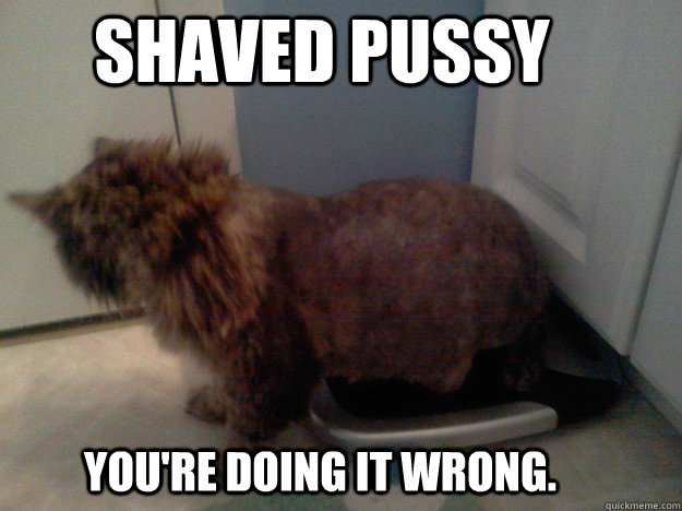 Shaved pussy you're doing it wrong.  