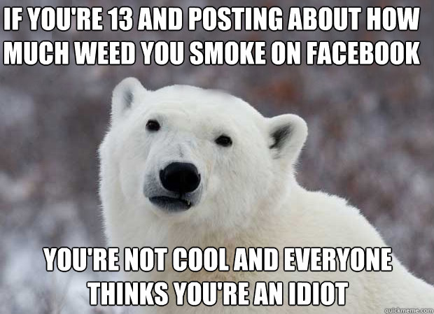if you're 13 and posting about how much weed you smoke on facebook you're not cool and everyone thinks you're an idiot - if you're 13 and posting about how much weed you smoke on facebook you're not cool and everyone thinks you're an idiot  Popular Opinion Polar Bear