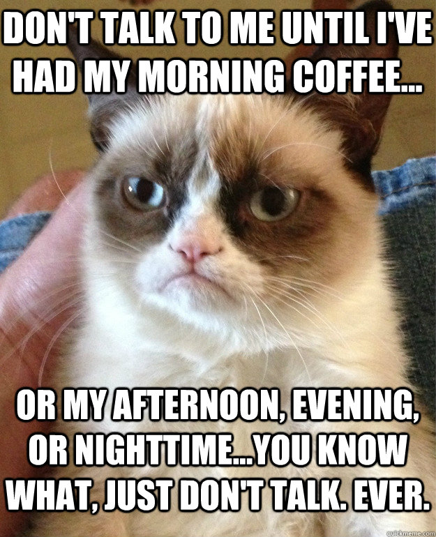 Don't talk to me until I've had my morning coffee... Or my afternoon, evening, or nighttime...you know what, just don't talk. Ever. - Don't talk to me until I've had my morning coffee... Or my afternoon, evening, or nighttime...you know what, just don't talk. Ever.  Misc