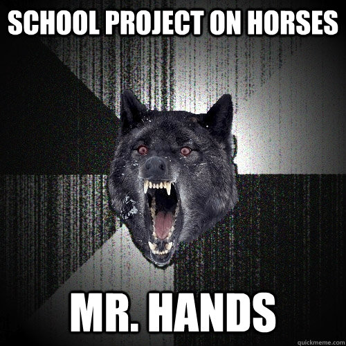 School project on horses Mr. Hands  Insanity Wolf