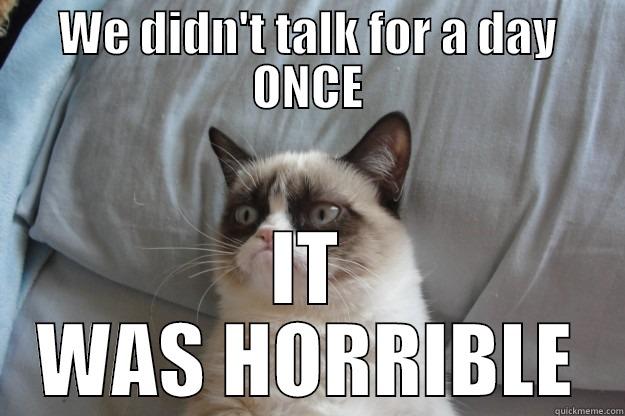 WE DIDN'T TALK FOR A DAY ONCE IT WAS HORRIBLE Grumpy Cat