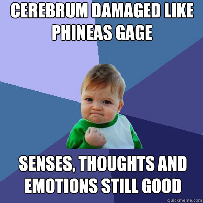 cerebrum damaged like Phineas Gage Senses, Thoughts and Emotions still good  Success Baby