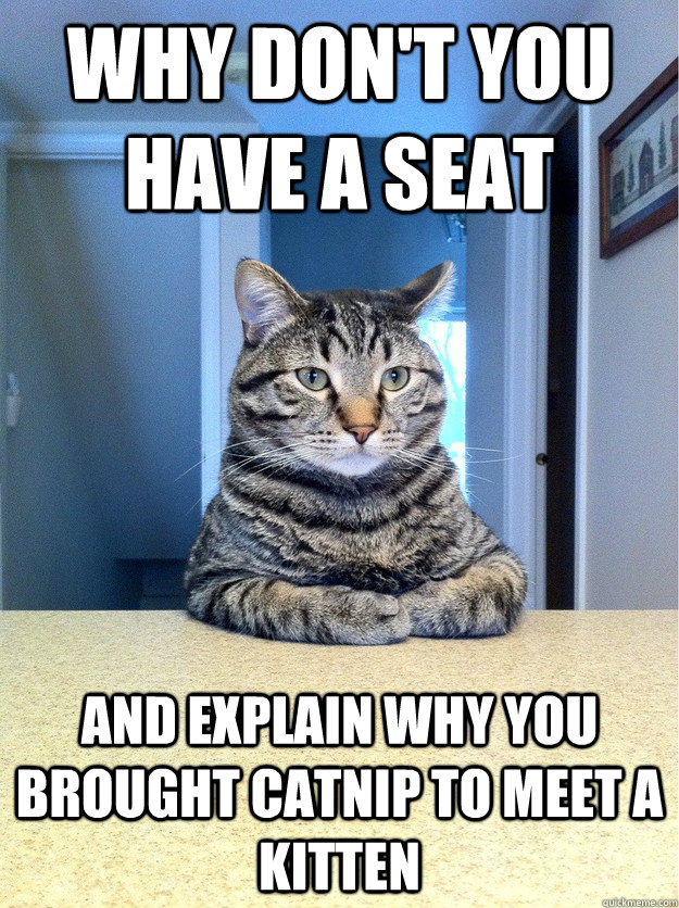 Why don't you have a seat and explain why you brought catnip to meet a kitten  Chris Hansen Cat