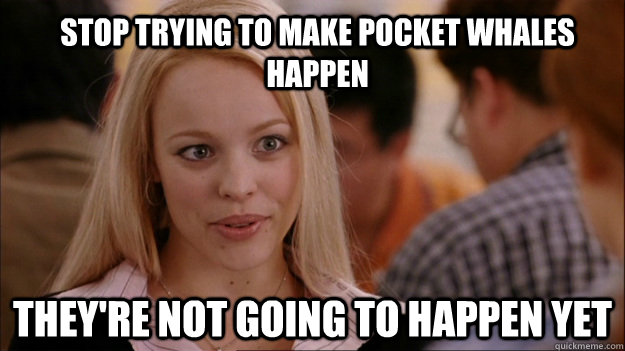 stop trying to make pocket whales happen they're not going to happen yet - stop trying to make pocket whales happen they're not going to happen yet  Mean Girls Carleton
