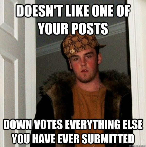 Doesn't like one of your posts down votes everything else you have ever submitted  Scumbag Steve