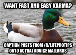 Want fast and easy karma? caption posts from /r/lifeprotips onto actual advice mallards  Good Advice Duck