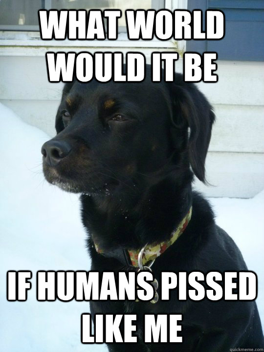 what world would it be if humans pissed like me - what world would it be if humans pissed like me  Philosophical Puppy