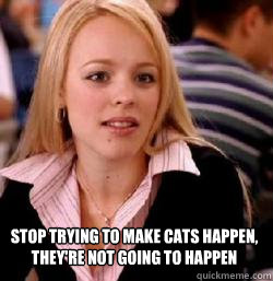 Stop trying to make cats happen, they're not going to happen  Kony mean girls