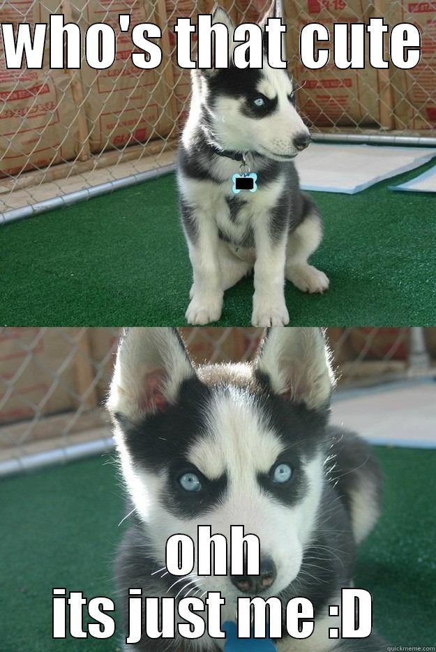 WHO'S THAT CUTE  OHH ITS JUST ME :D Insanity puppy