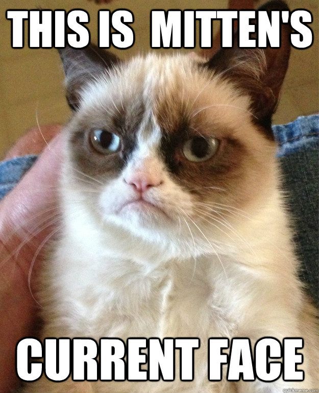 THIS IS  MITTEN'S CURRENT FACE  Grumpy Cat