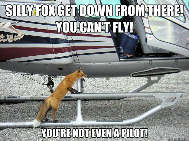SILLY FOX GET DOWN FROM THERE!
YOU CAN'T FLY! You're not even a pilot!  Silly fox