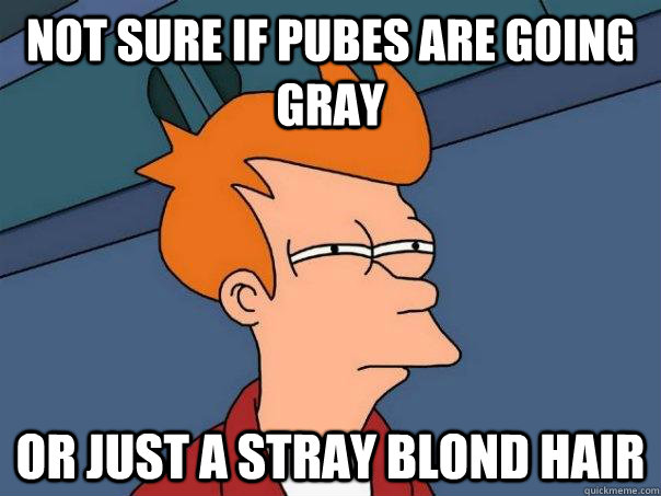 Not sure if pubes are going gray or just a stray blond hair - Not sure if pubes are going gray or just a stray blond hair  Futurama Fry