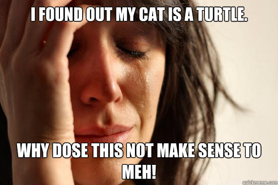 i found out my cat is a turtle. why dose this not make sense to meh!  First World Problems