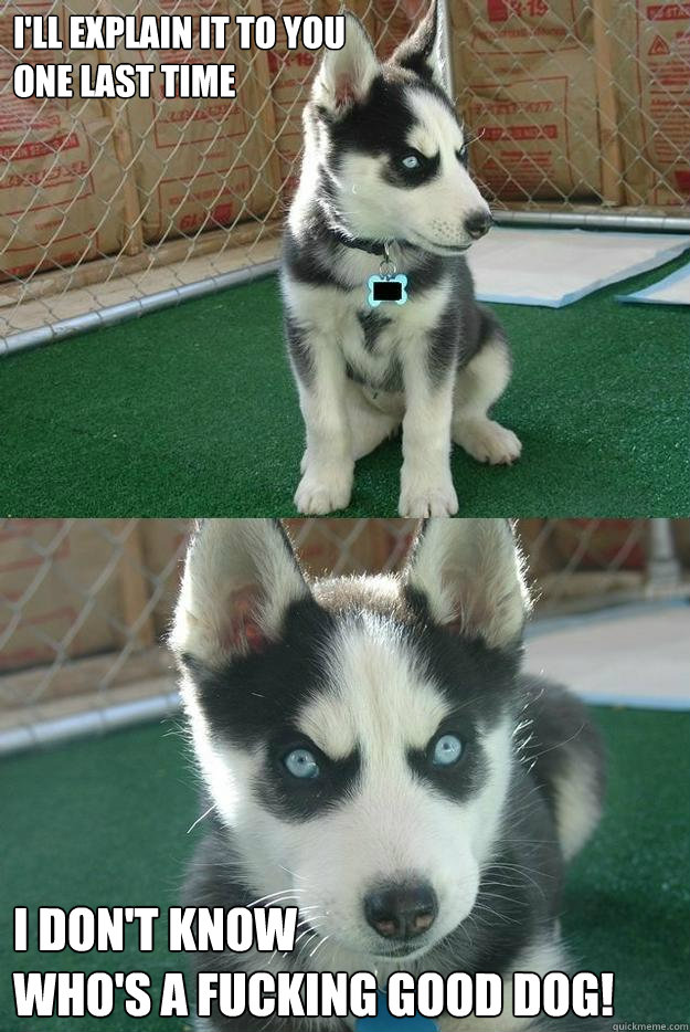 I'll explain it to you 
one last time I don't know 
who's a fucking good dog!  Insanity puppy