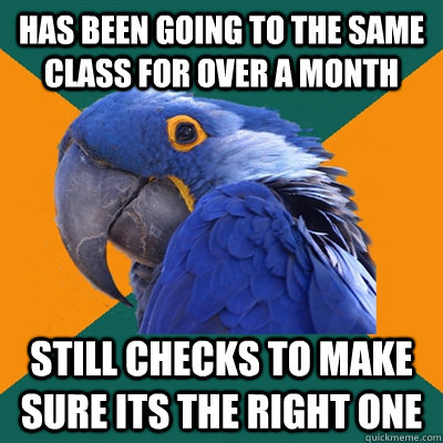 Has been going to the same class for over a month still checks to make sure its the right one  Paranoid Parrot