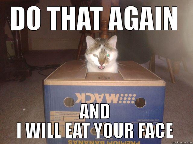 DO THAT AGAIN AND I WILL EAT YOUR FACE Misc