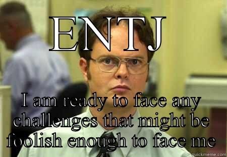 ENTJ I AM READY TO FACE ANY CHALLENGES THAT MIGHT BE FOOLISH ENOUGH TO FACE ME Schrute