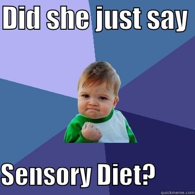 DID SHE JUST SAY   SENSORY DIET?        Success Kid