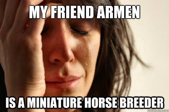 My friend Armen is a miniature horse breeder - My friend Armen is a miniature horse breeder  First World Problems