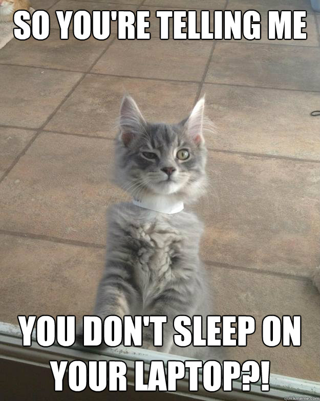 so you're telling me you don't sleep on your laptop?! - so you're telling me you don't sleep on your laptop?!  Misc