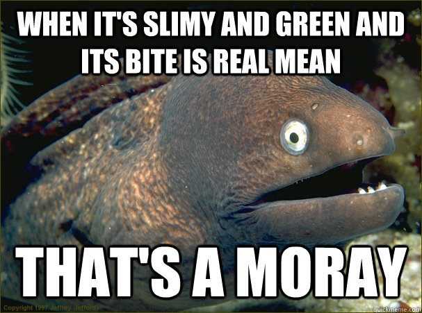 When it's slimy and green and its bite is real mean That's a moray  Bad Joke Eel