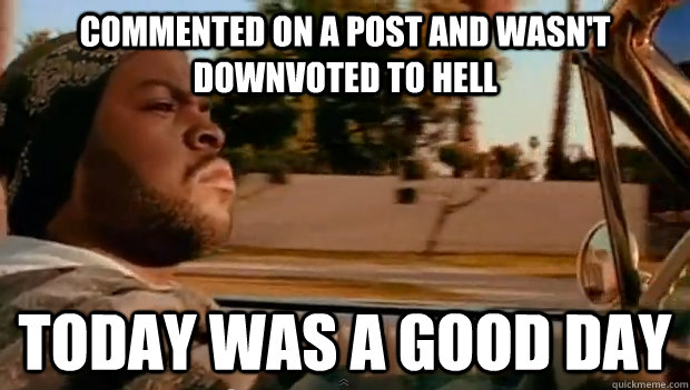 Commented on a post and wasn't downvoted to hell Today was a good day - Commented on a post and wasn't downvoted to hell Today was a good day  Misc
